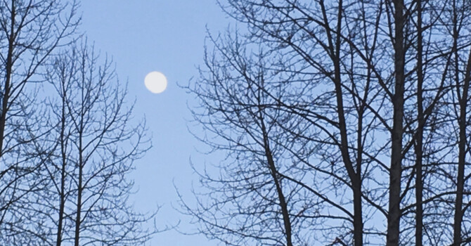Fertility Acupuncture Vancouver: Why Timing Your Cycle Matters for Conception