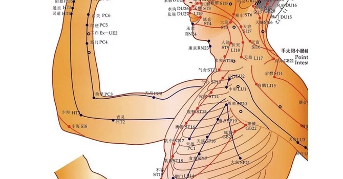 Understanding the Meridian System: A Modern Look at How Acupuncture Works