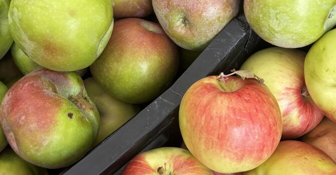 An Apple a Day: Acupuncture as Preventative Healthcare