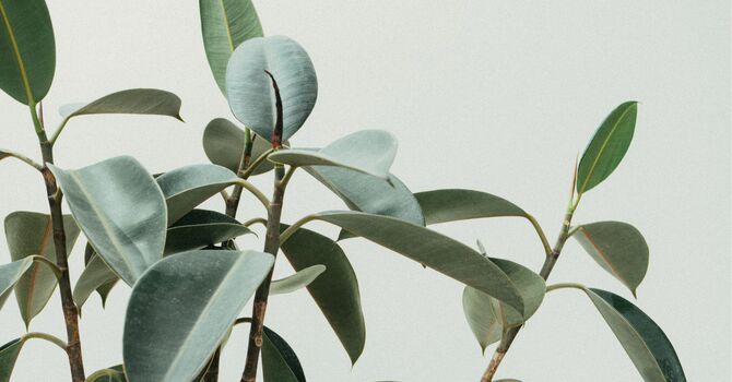 Nervous About Trying Acupuncture for the First Time? Here’s What to Expect